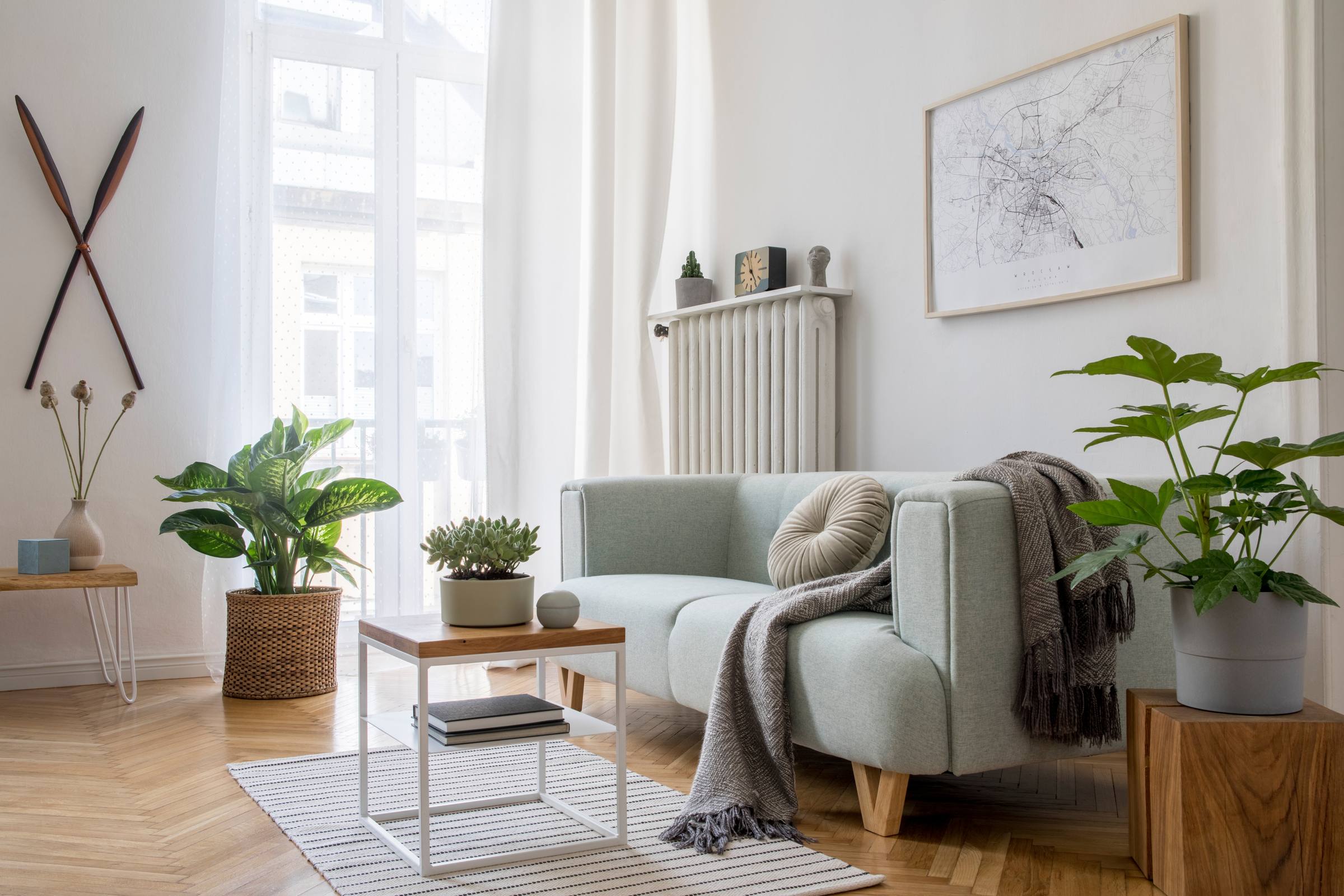 Bright living room with a light gray sofa, coffee table, houseplants, and large window with sheer curtains.